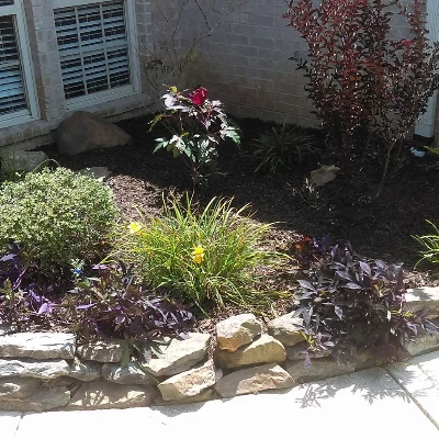 Deeply Rooted Yard And Landscaping Services