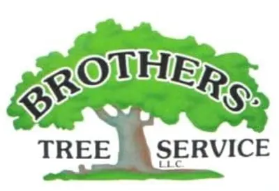 Brothers' Tree Service LLC