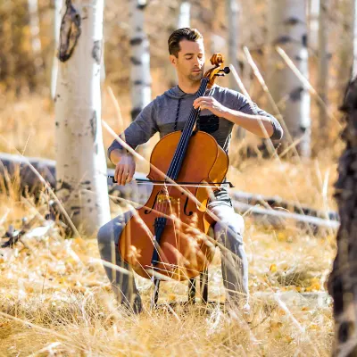 Shaun's Cello Studio