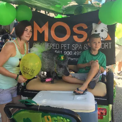Mosa Pampered Pet Spa & Resort