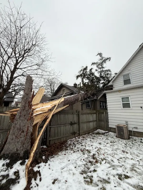 Storm Damage