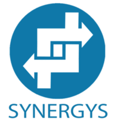 Synergys Services Inc