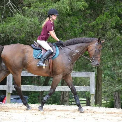 Pine Crest Farm Llc