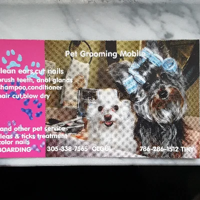 Olgui And Tiky Pet Grooming MOBILE And BOARDING