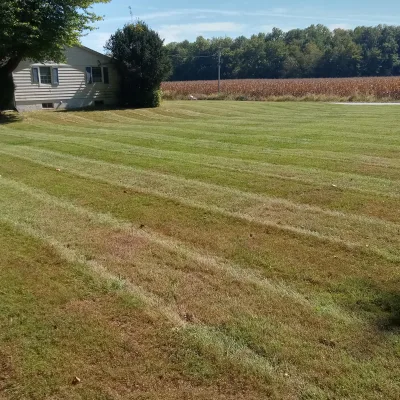All Lined Up Landscaping And Lawncare