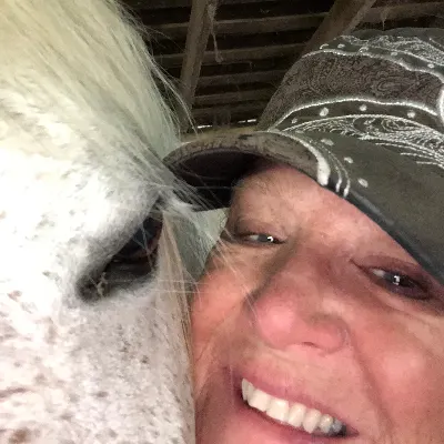 Harmony Stables