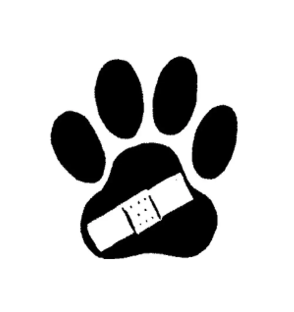 East Main Animal Hospital