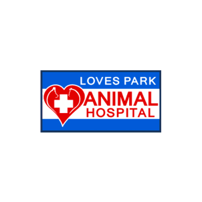 Animal Hospital Of Loves Park
