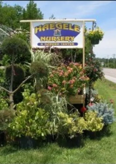 HAEGELE NURSERY & GARDEN CENTER