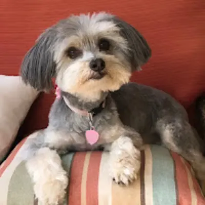Camarillo Veterinary Hospital