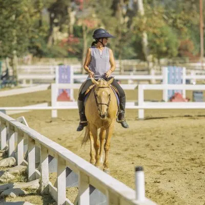 Traditional Equitation School