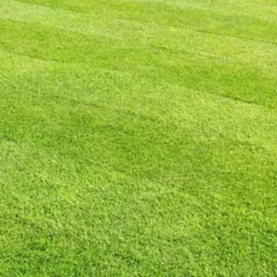 Total Lawn Maintenance 