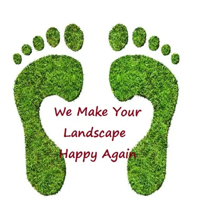 Neide's Lawn & Landscape LLC