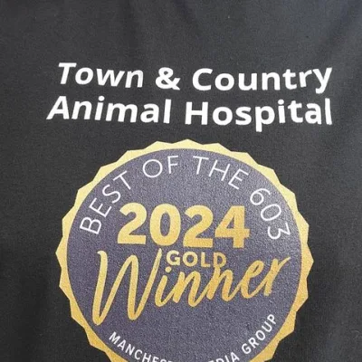Town & Country Animal Hospital