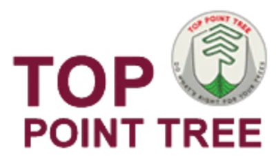 Top Point Tree