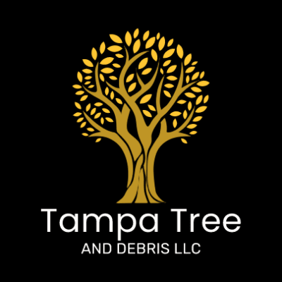 Tampa Tree And Debris LLC