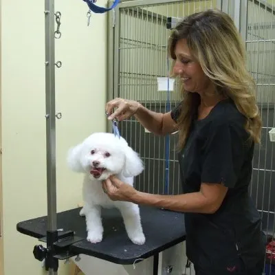 Yorba Lake Pet Clinic