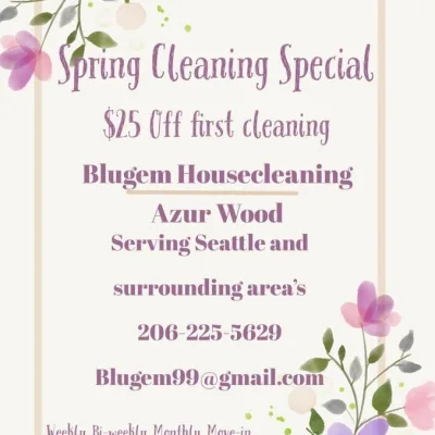 Blugem Housecleaning