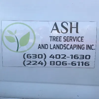 Ash Tree Service And Lansdcaping Inc.