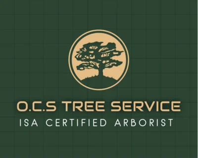 OCS Tree Service
