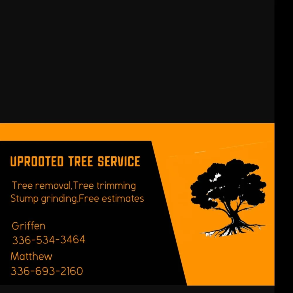 Uprooted Tree Service