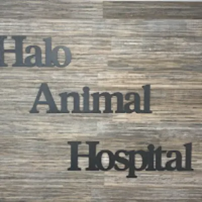Halo Animal Hospital