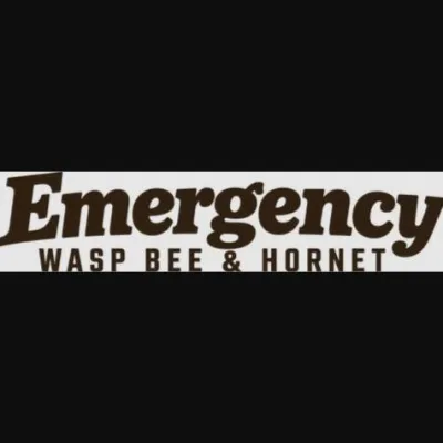 Emergency Wasp Bee & Hornet
