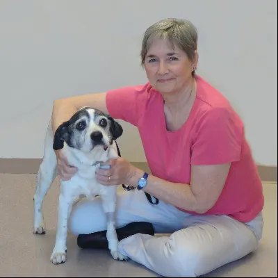 Mahomet Animal Hospital