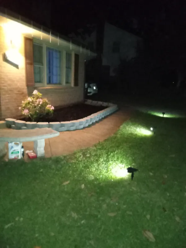  planting Stone retaining wall and lighting effects