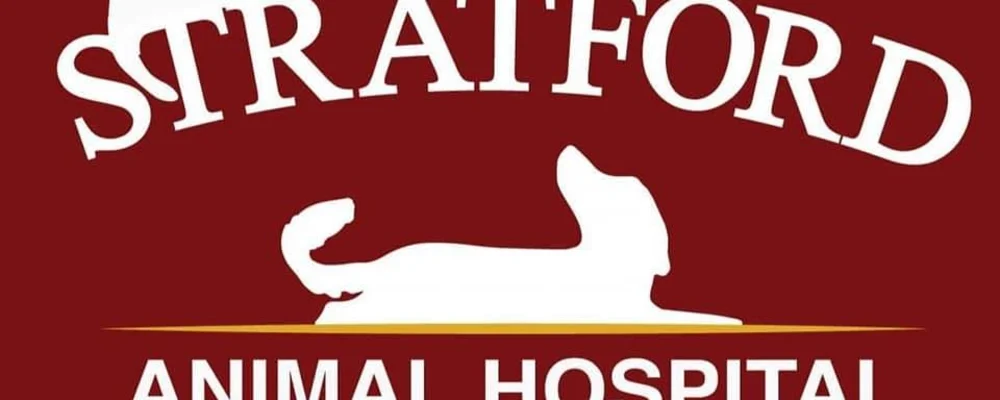 Stratford Animal Hospital