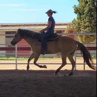 MM Horsemanship Academy