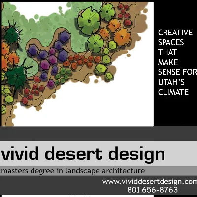 Vivid Desert Design