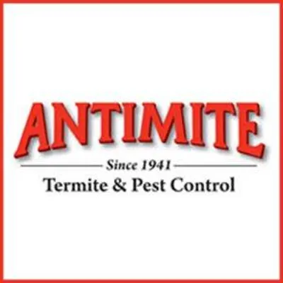 Antimite Termite And Pest Control - Costa Mesa