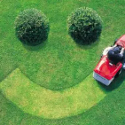 Happy Cuts Lawn Care