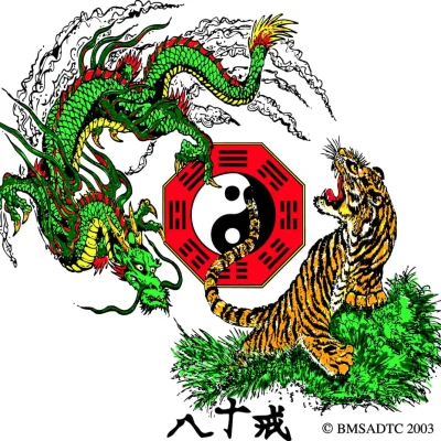 Body Mind Systems Martial Arts Center