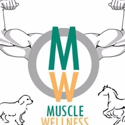 Muscle Wellness Through Massage Therapy