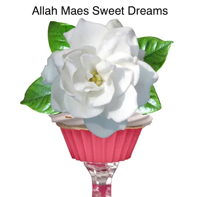 Allah Mae’s Sweet Dreams