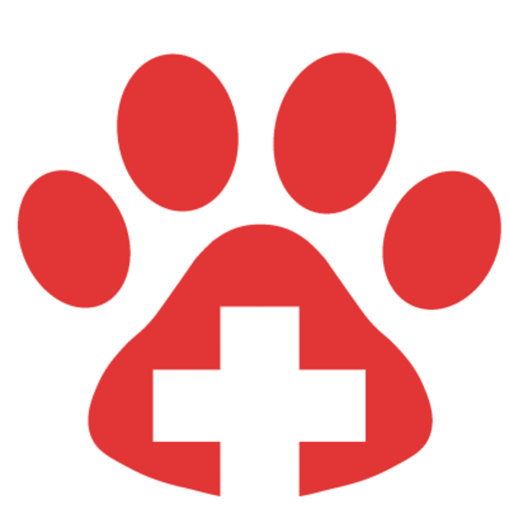 St. Petersburg Animal Hospital And Urgent Care