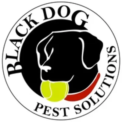 Black Dog Pest Solutions, LLC