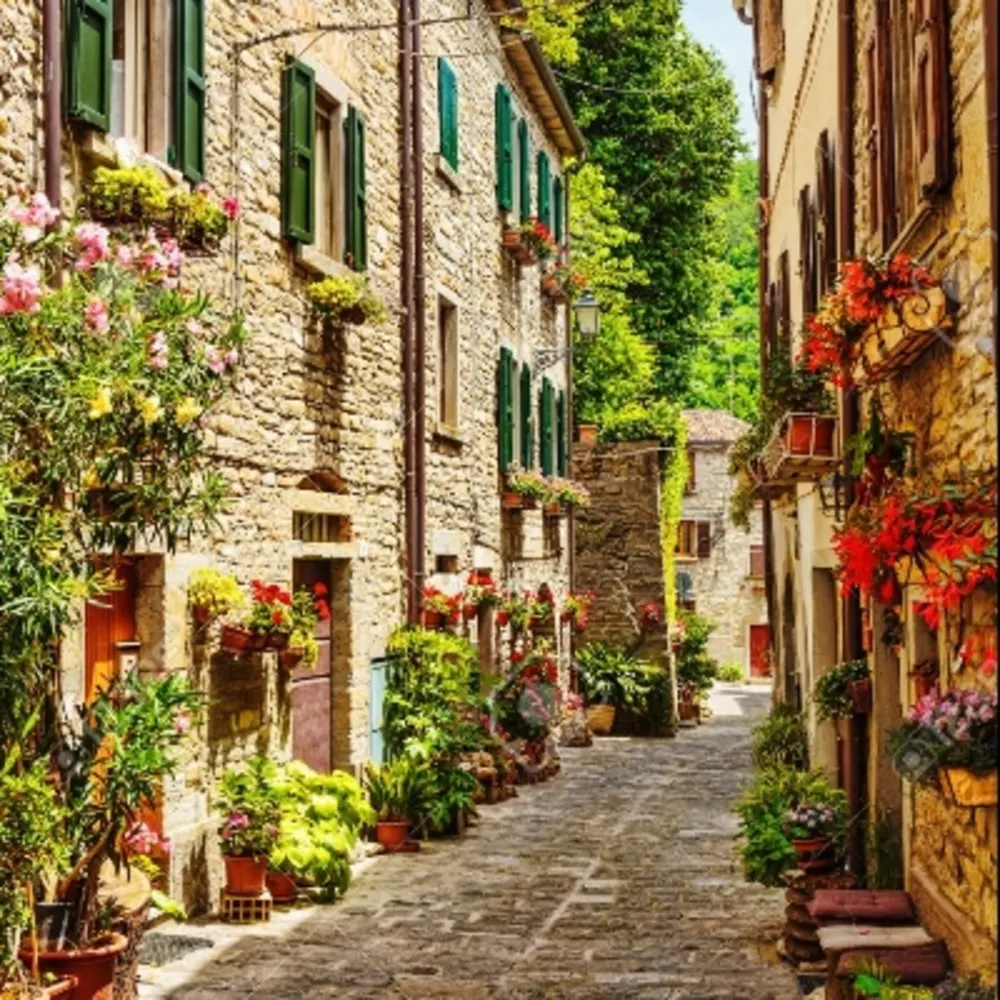 Via Della Seta Llc Remodeling
