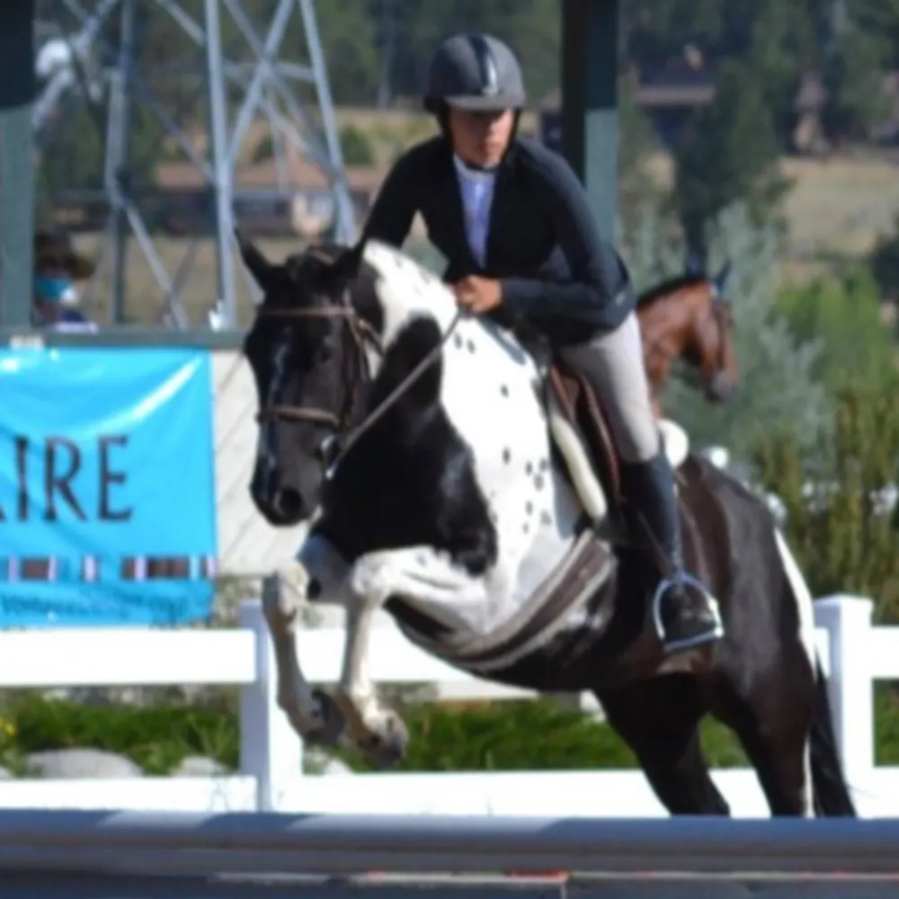 Carpe Diem Equestrian