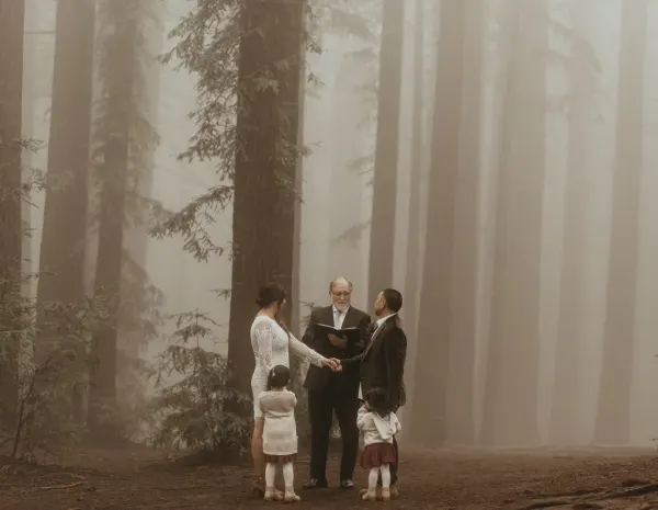 CA Redwoods