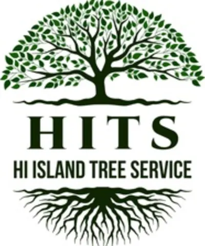 HI Island Tree Service