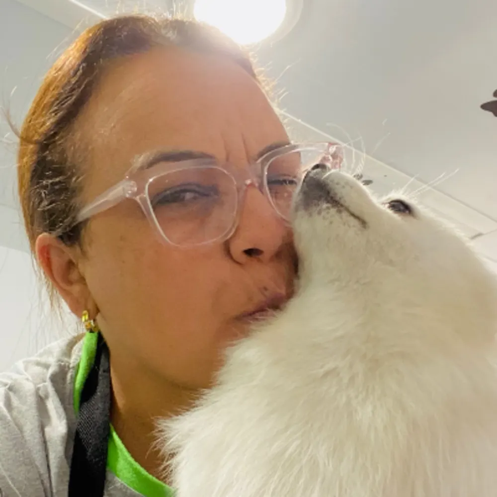 Cape Cod Four Paws Mobile Pet Grooming