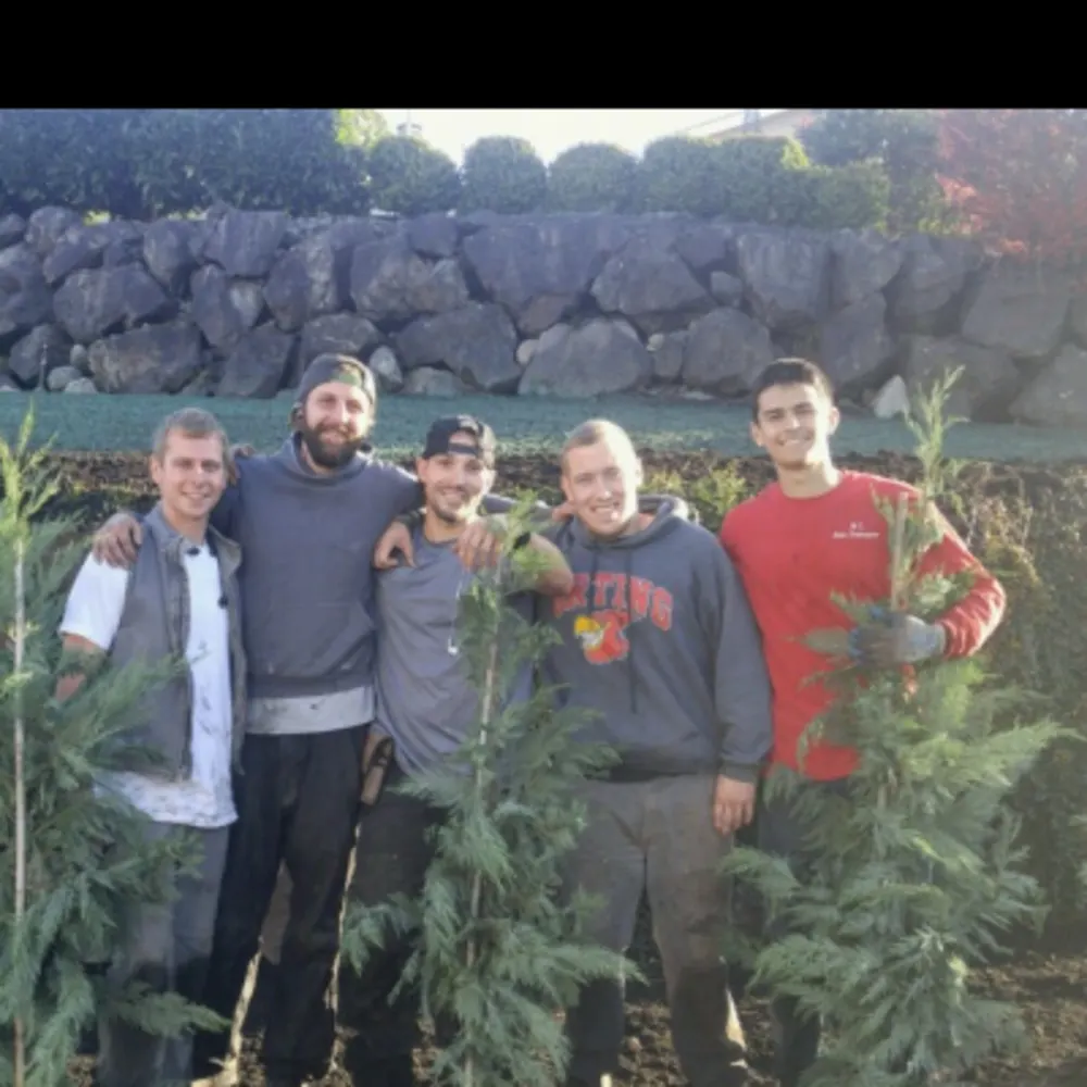 MowTowne Landscaping