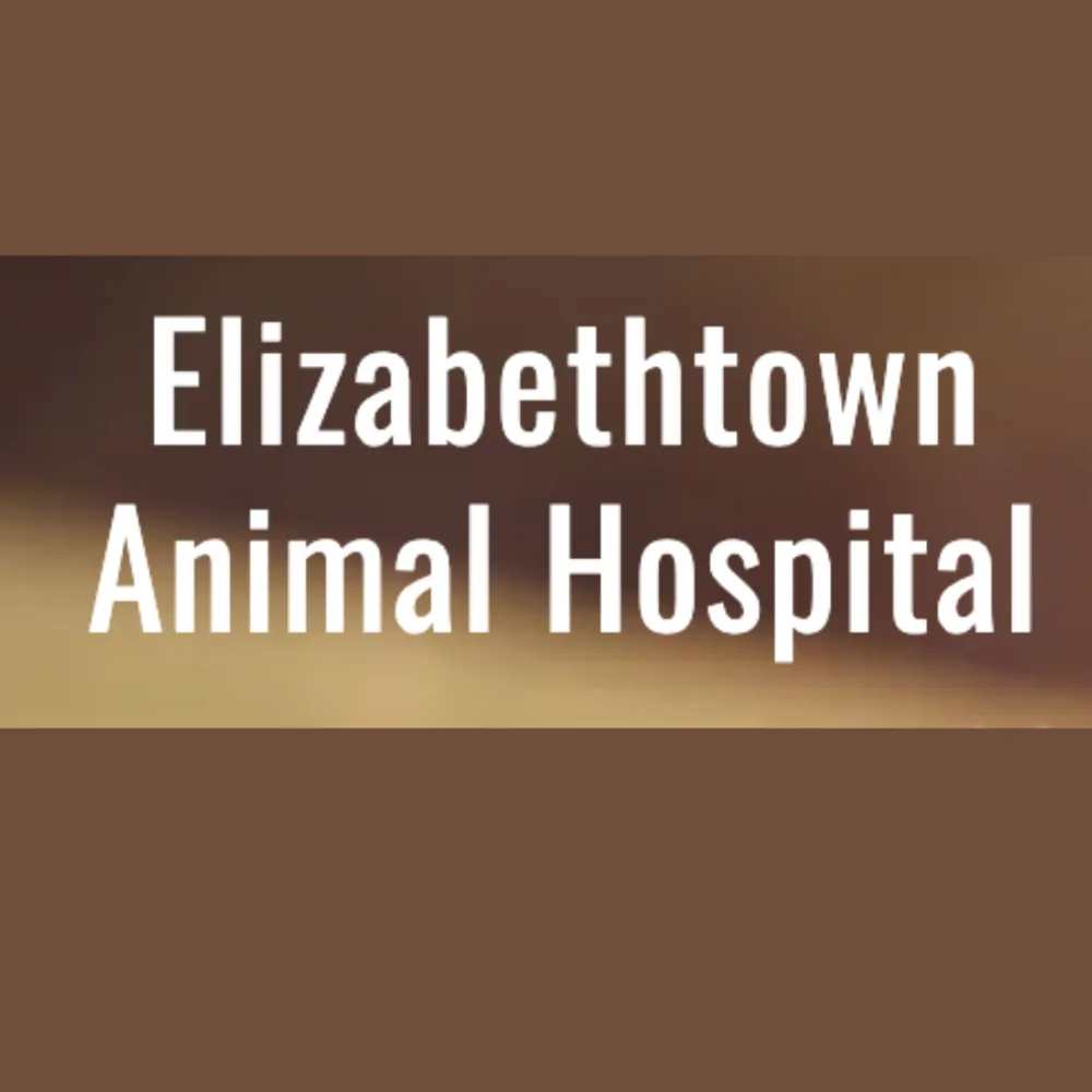 Elizabethtown Animal Hospital