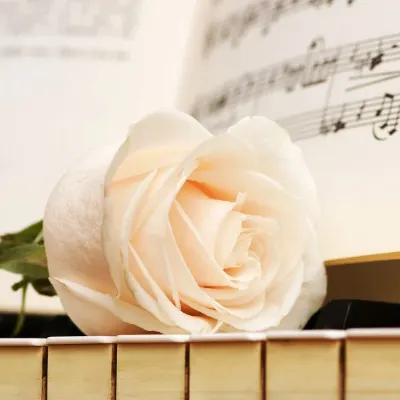 Beautiful Spring Piano Lessons