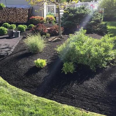 Eli Landscaping LLC