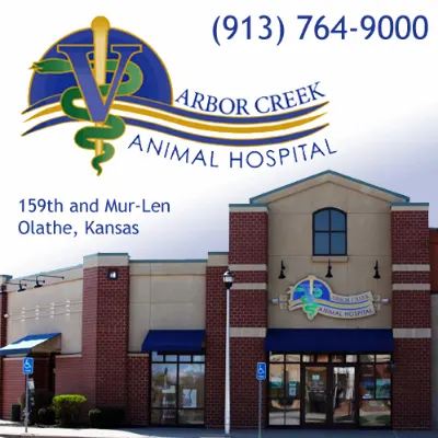 Arbor Creek Animal Hospital