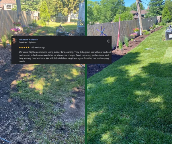 Sod Project